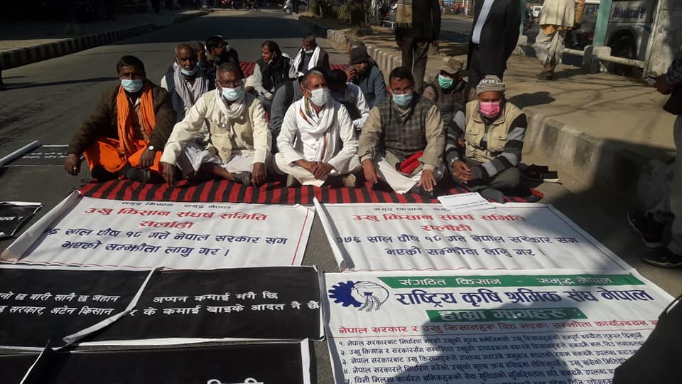 Nationwide Sugarcane Farmers' Protest at Maitighar Mandala